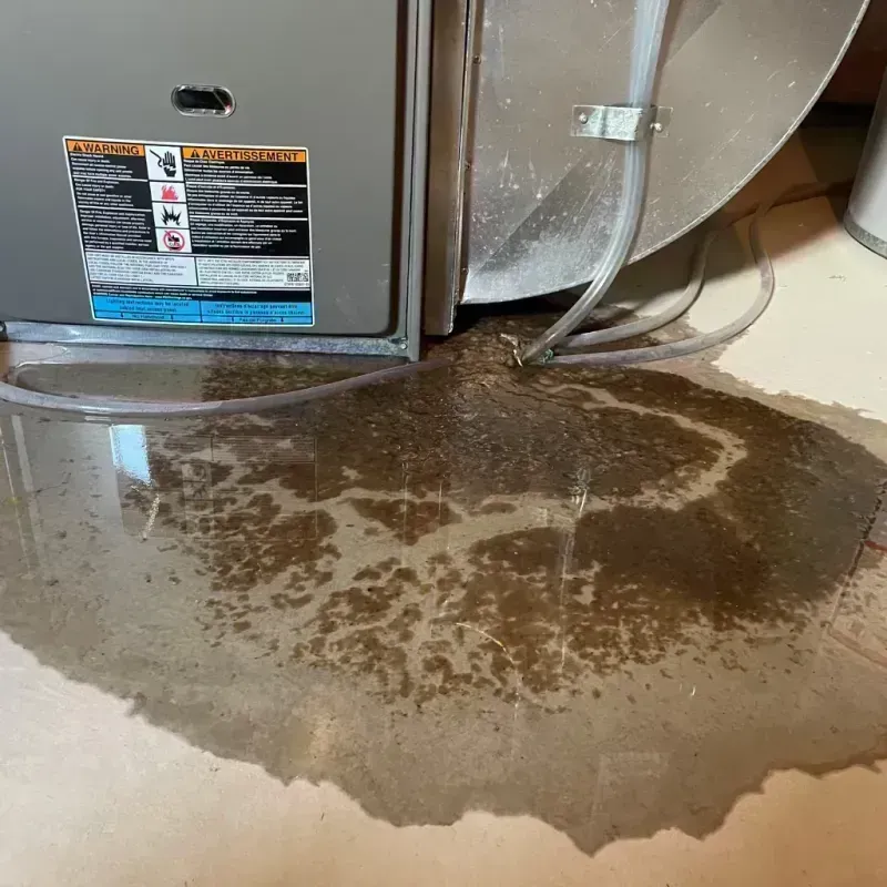 Appliance Leak Cleanup in Willard, MO